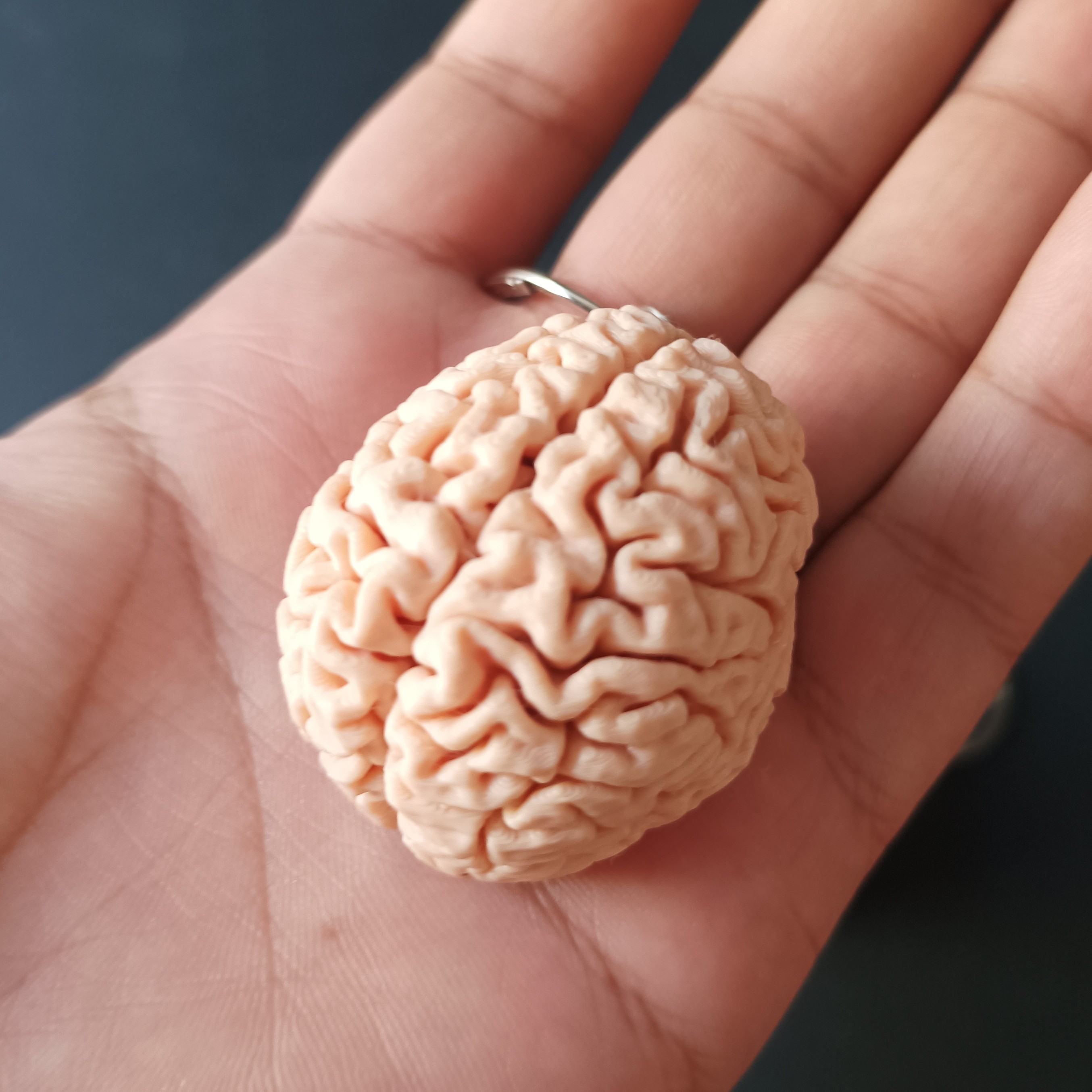 جاسوییچی طرح مغز
